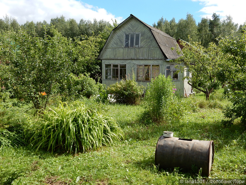 lori-0023314532-bigwww.jpg